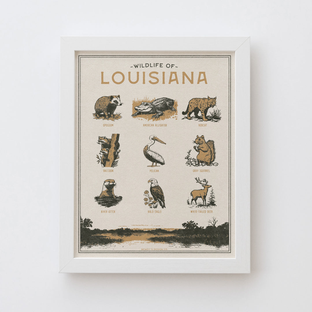 Louisiana Wildlife Print