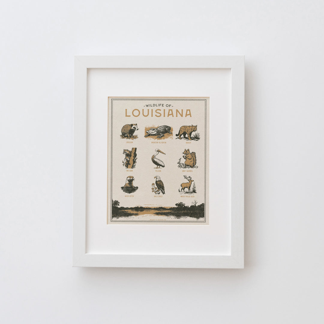 Louisiana Wildlife Print