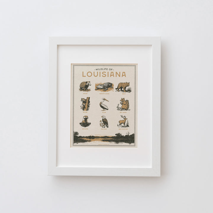 Louisiana Wildlife Print