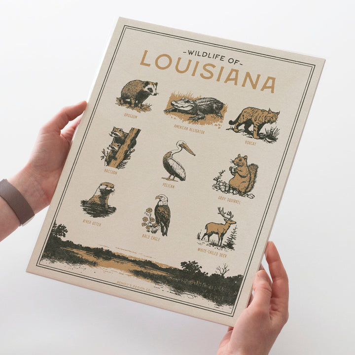 Louisiana Wildlife Print