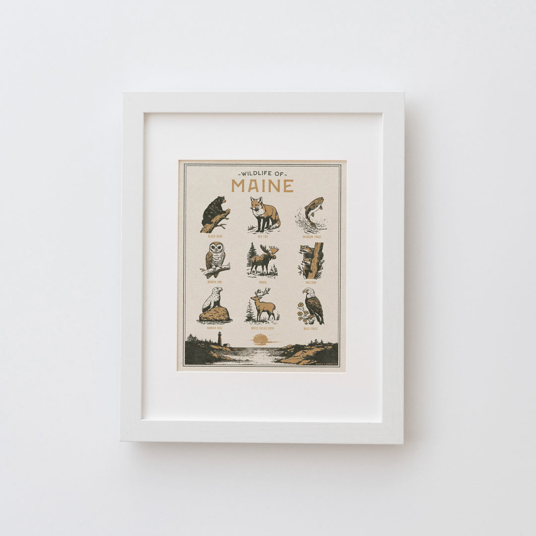 Maine Wildlife Print