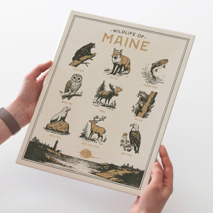 Maine Wildlife Print