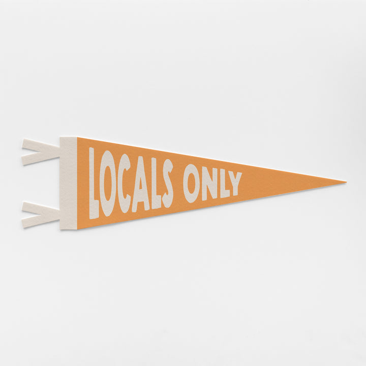 Custom Fun Name Sign Felt Pennant