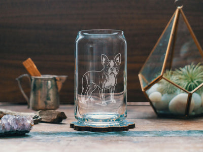 Boston Terrier Dog Glasses