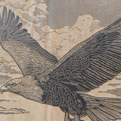 Bald Eagle Engraved Illustration