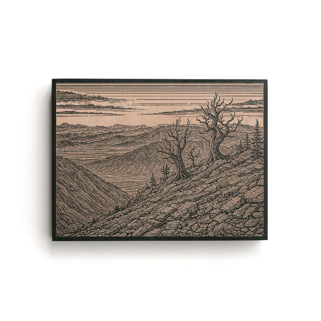 Madeira Portugal Levada Path Engraved Birch Art Panel