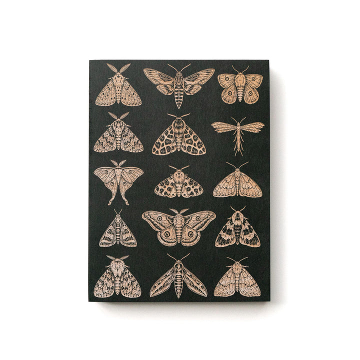 Moths Engraved Birch Art Panel