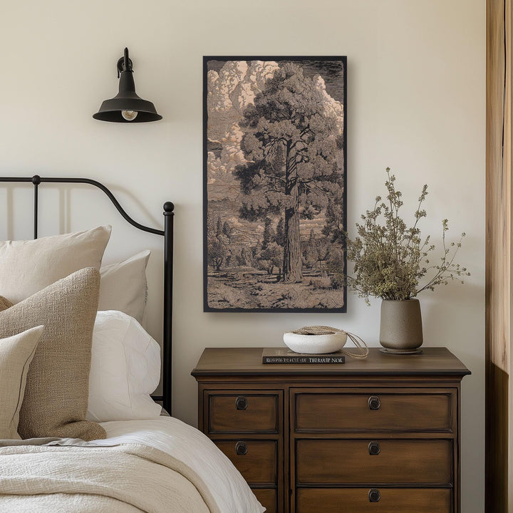 Ponderosa Pine Engraved Illustrations