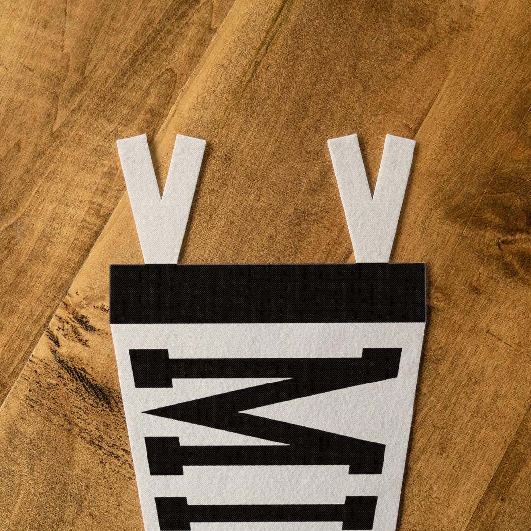 Michigan Varsity Felt Pennant