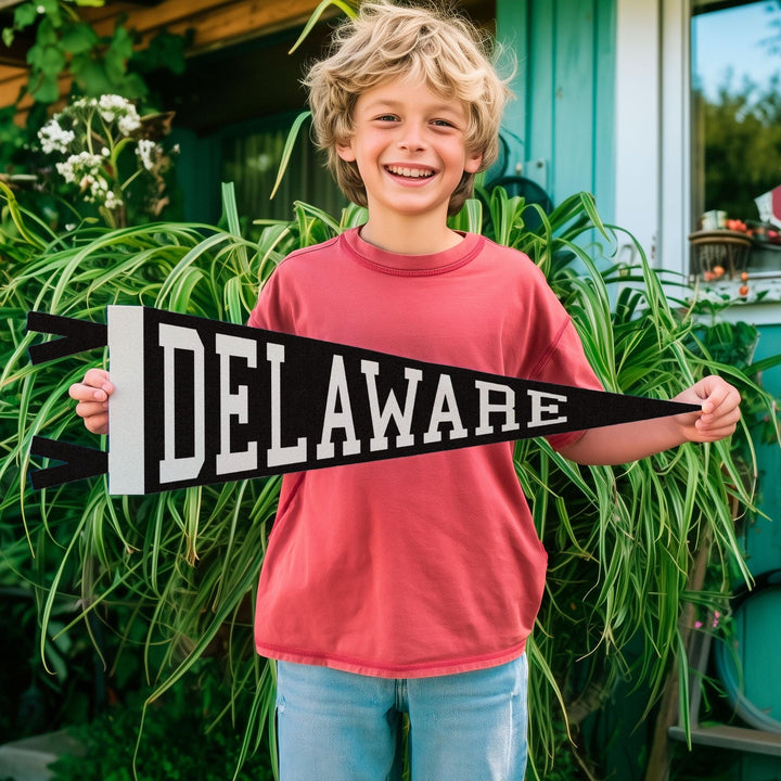 Delaware Varsity Felt Pennant