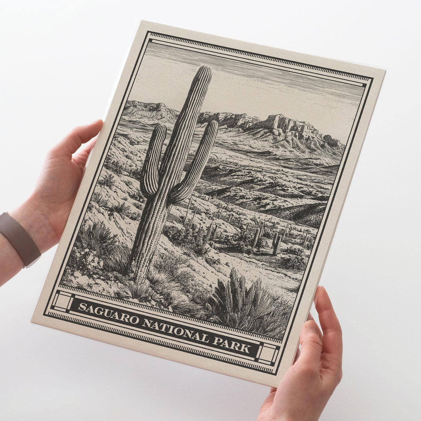 Saguaro National Park Lithograph Style Print - Vintage Arizona archival matte fine art print. Saguaro Cactus Desert Gift. Rincon Mountain.