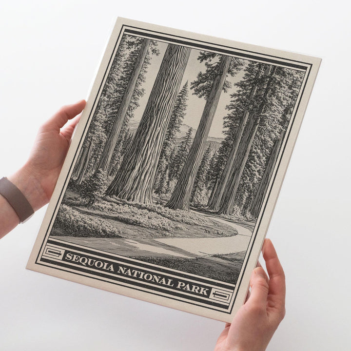 Sequoia National Park Lithograph Style Print - Vintage California archival matte fine art print. Giant Forest Sierra Nevada Mountains Gift.