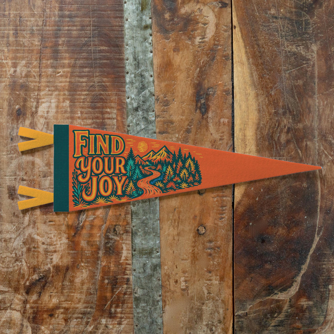 Find Your Joy Felt Pennant