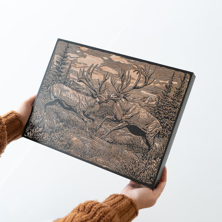 Sparring Caribou Engraved Illustration