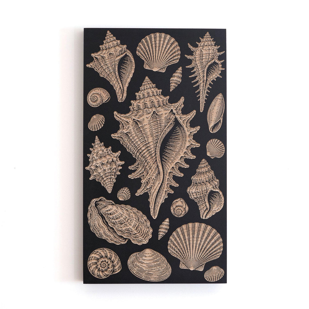 Shell Study Vertical Engraved Birch Art Panel