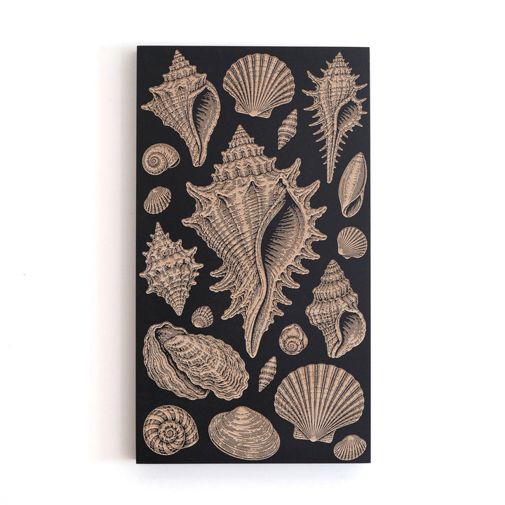 Shell Study Vertical Engraved Birch Art Panel