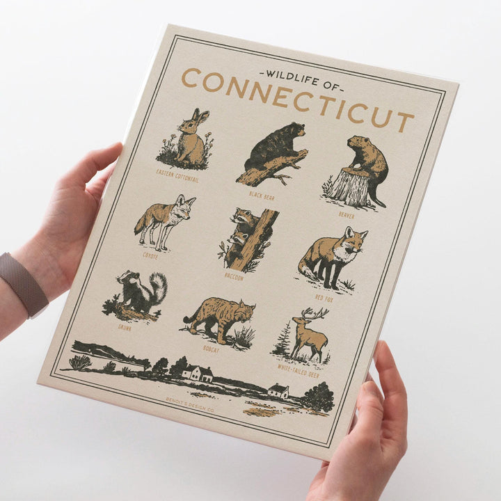 Connecticut Wildlife Print
