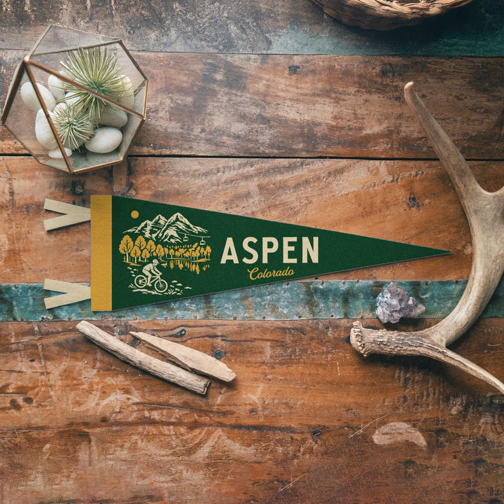 Aspen Colorado Felt Pennant