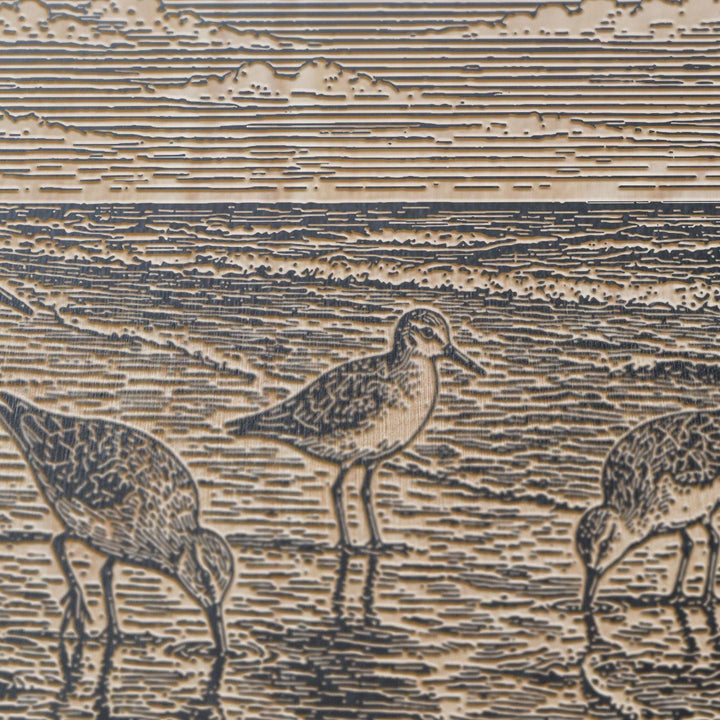 Shorebirds at the Waterline Engraved Birch Art Panel