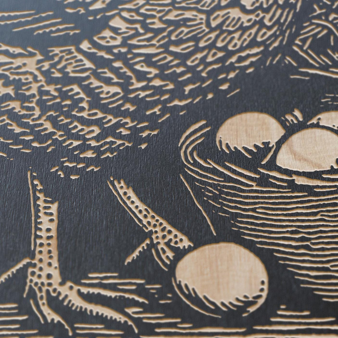 Hen With Eggs Engraved Illustration