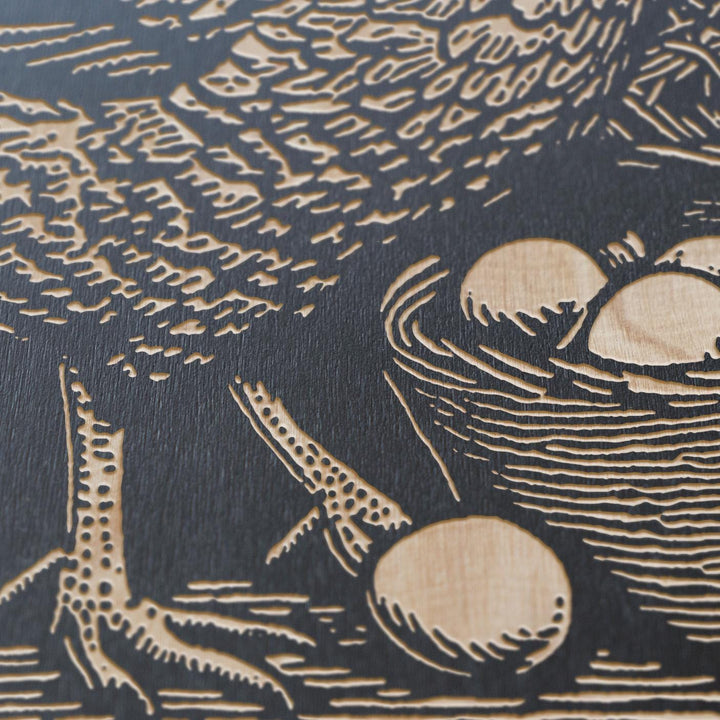 Hen With Eggs Engraved Illustration