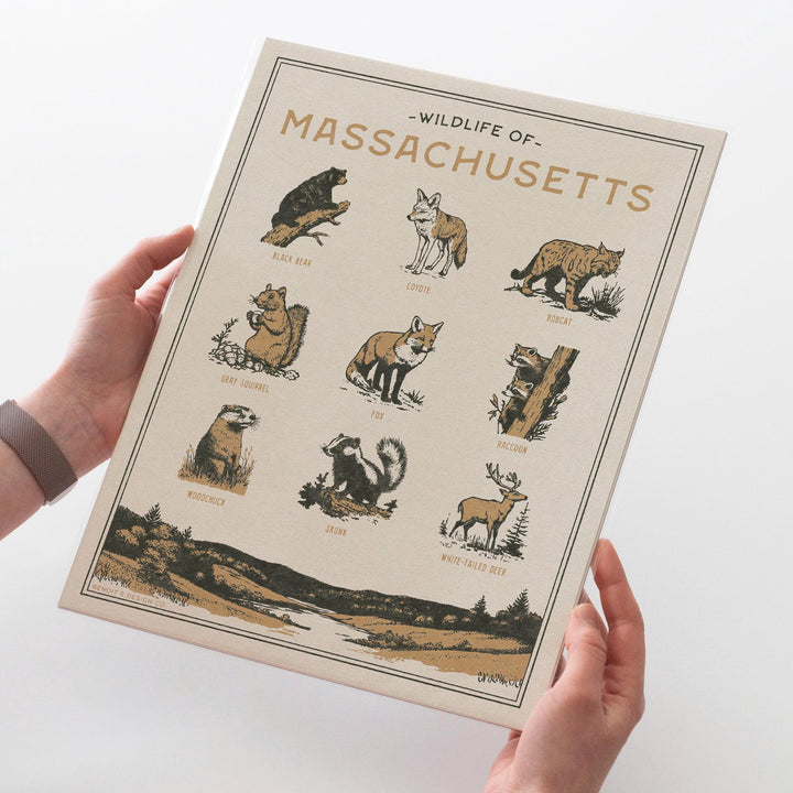 Massachusetts Wildlife Print