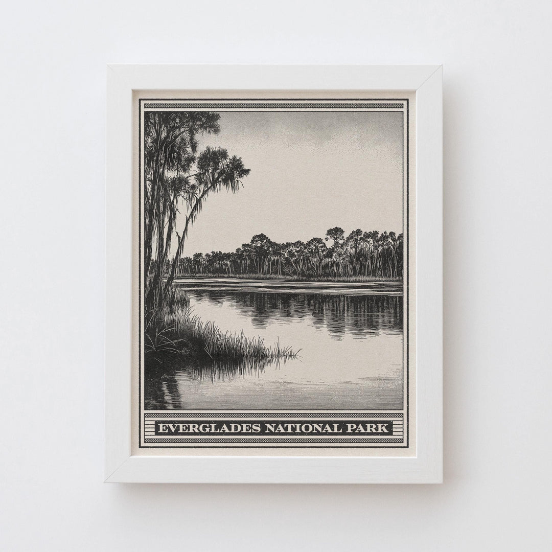 Everglades National Park Lithograph Style Print - Vintage Florida archival matte fine art print. South Florida Alligator Wildlife Swamp Gift