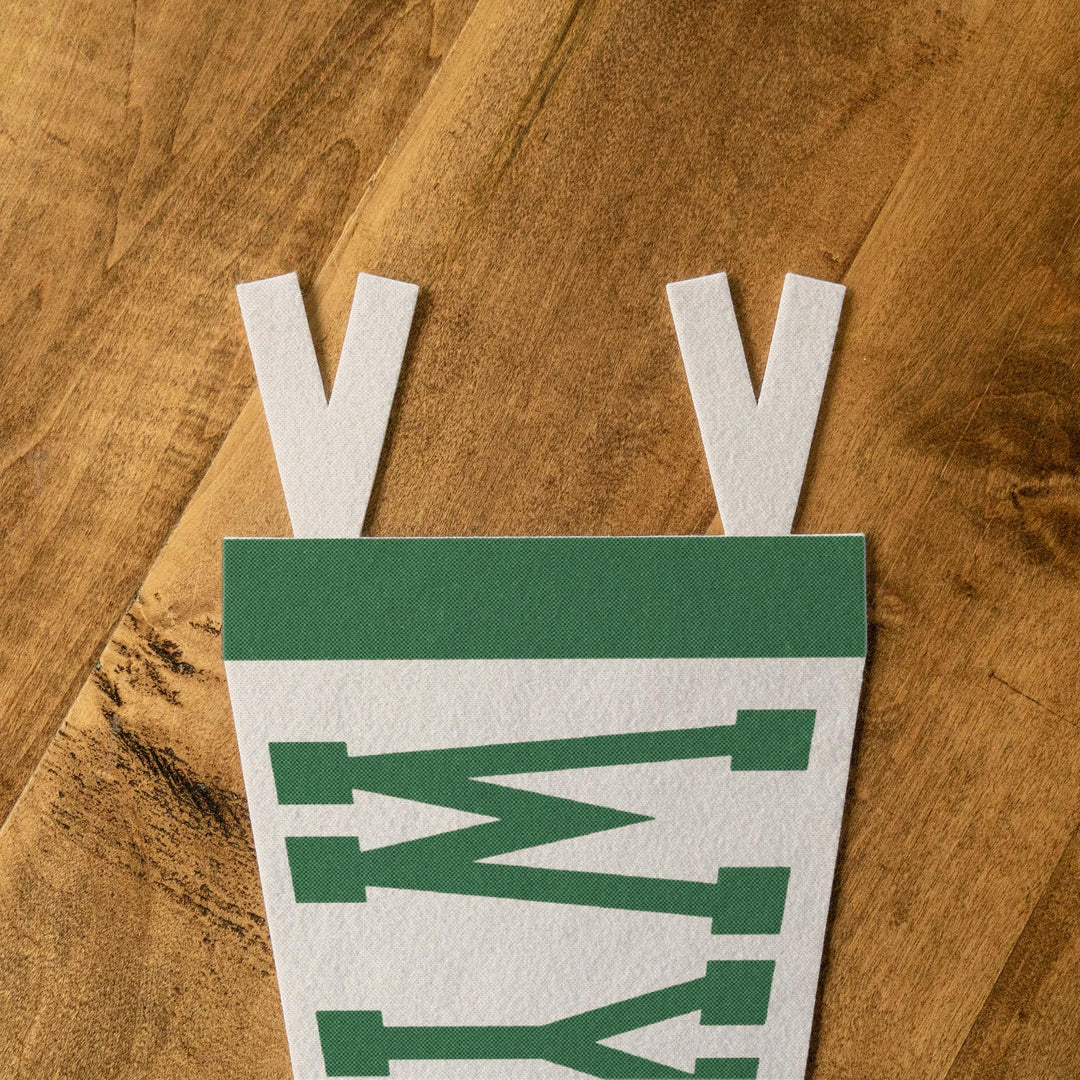 Wyoming Varsity Felt Pennant