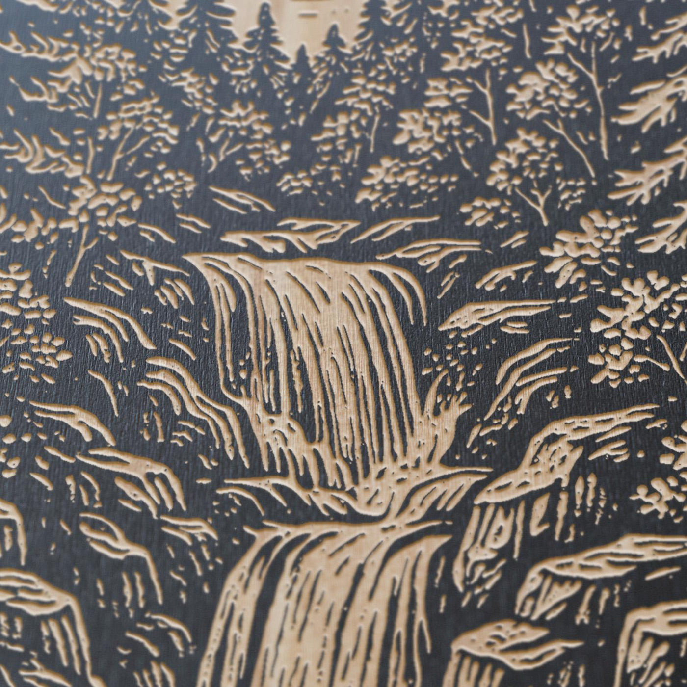 Forest Waterfall Engraved Birch Illustration