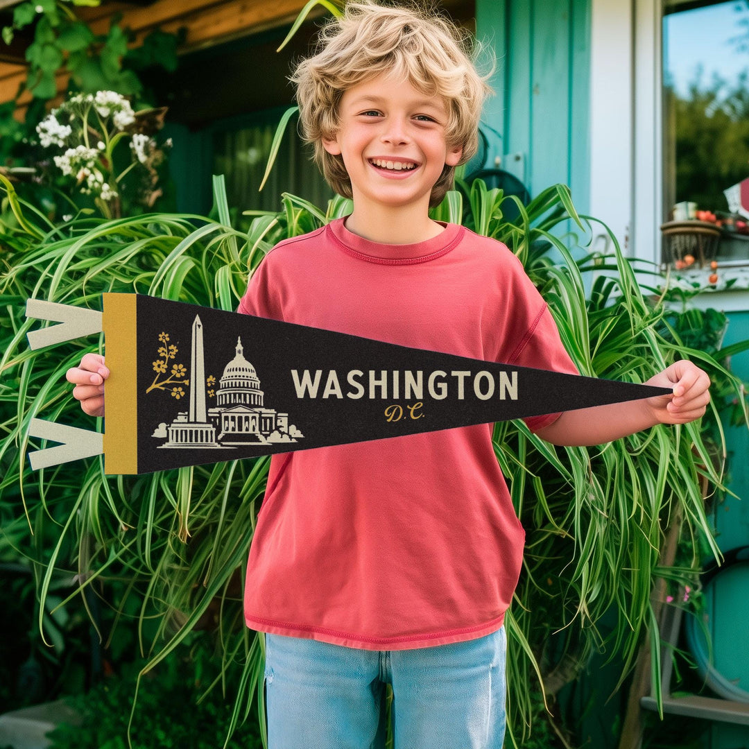 Washington DC Felt Pennant