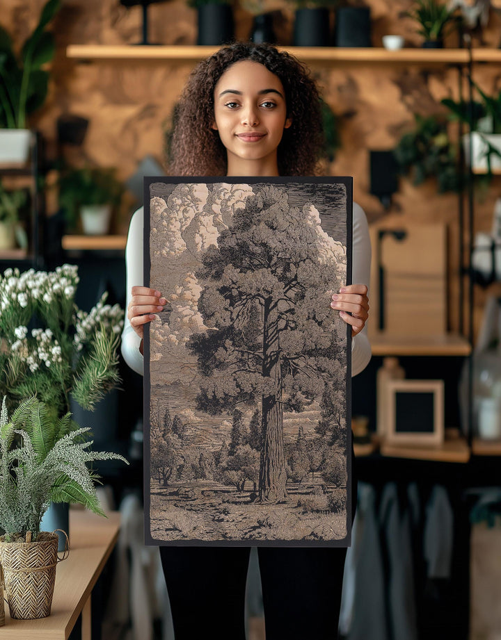 Ponderosa Pine Engraved Illustrations