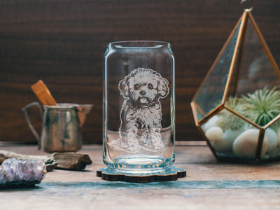 Bichon Dog Glasses