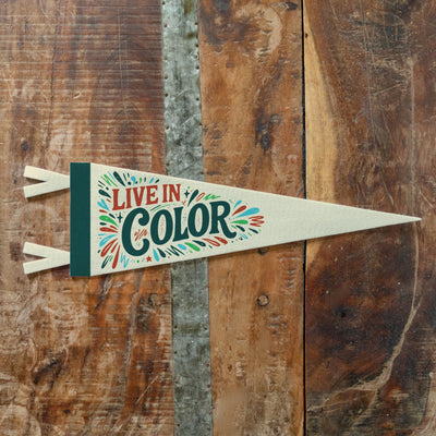 Live In Color Felt Pennant