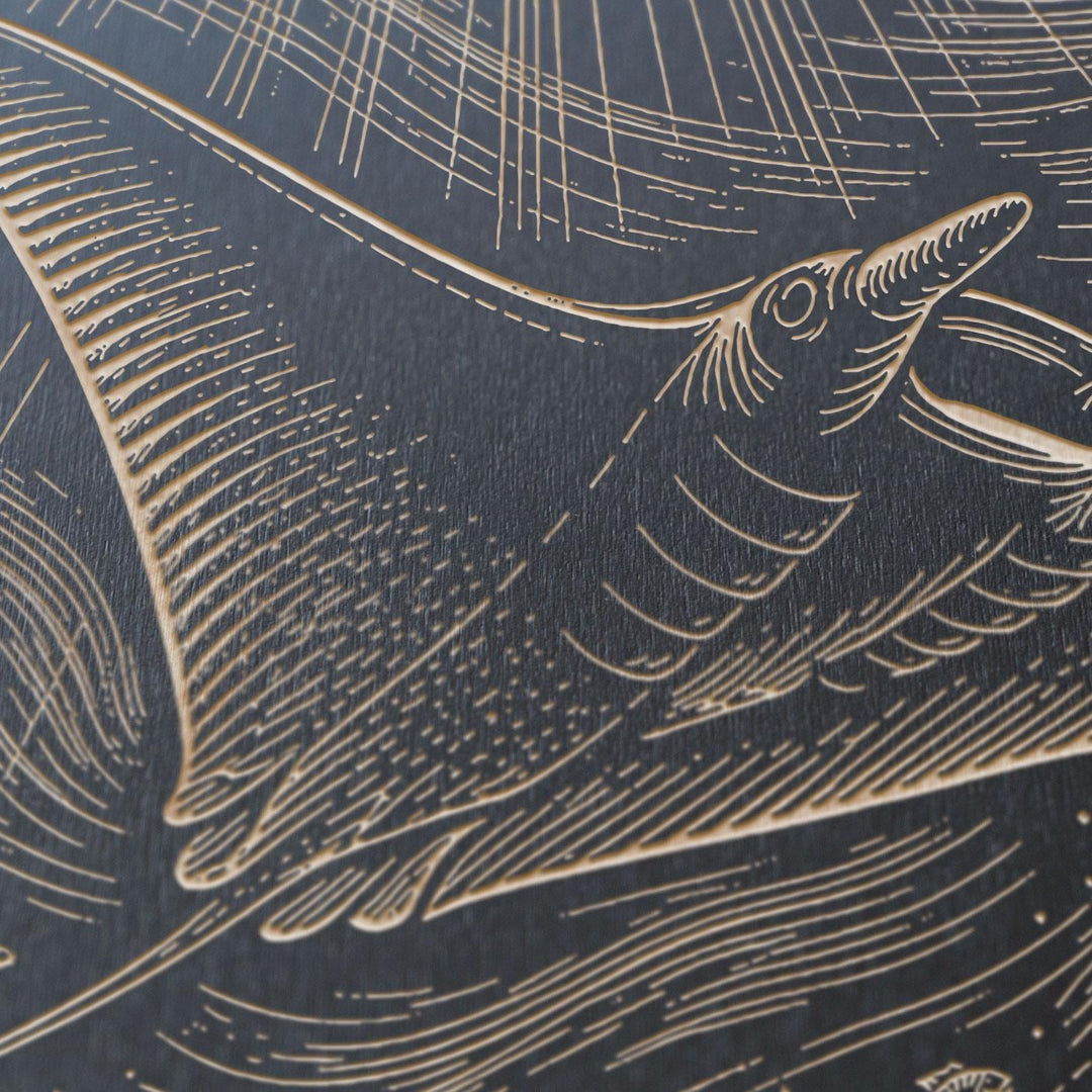 Manta Ray Over Coral Reef Engraved Birch Art Panel