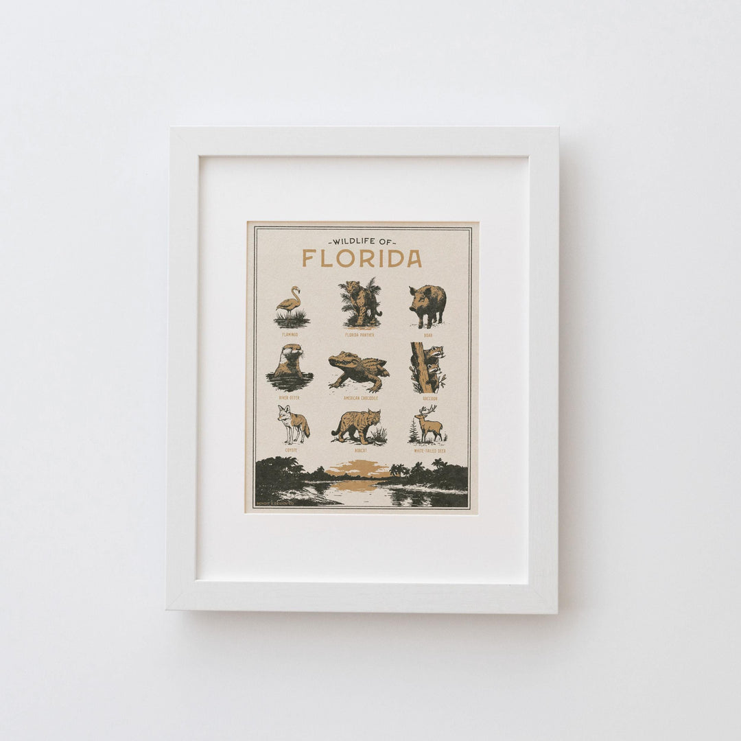 Florida Wildlife Print