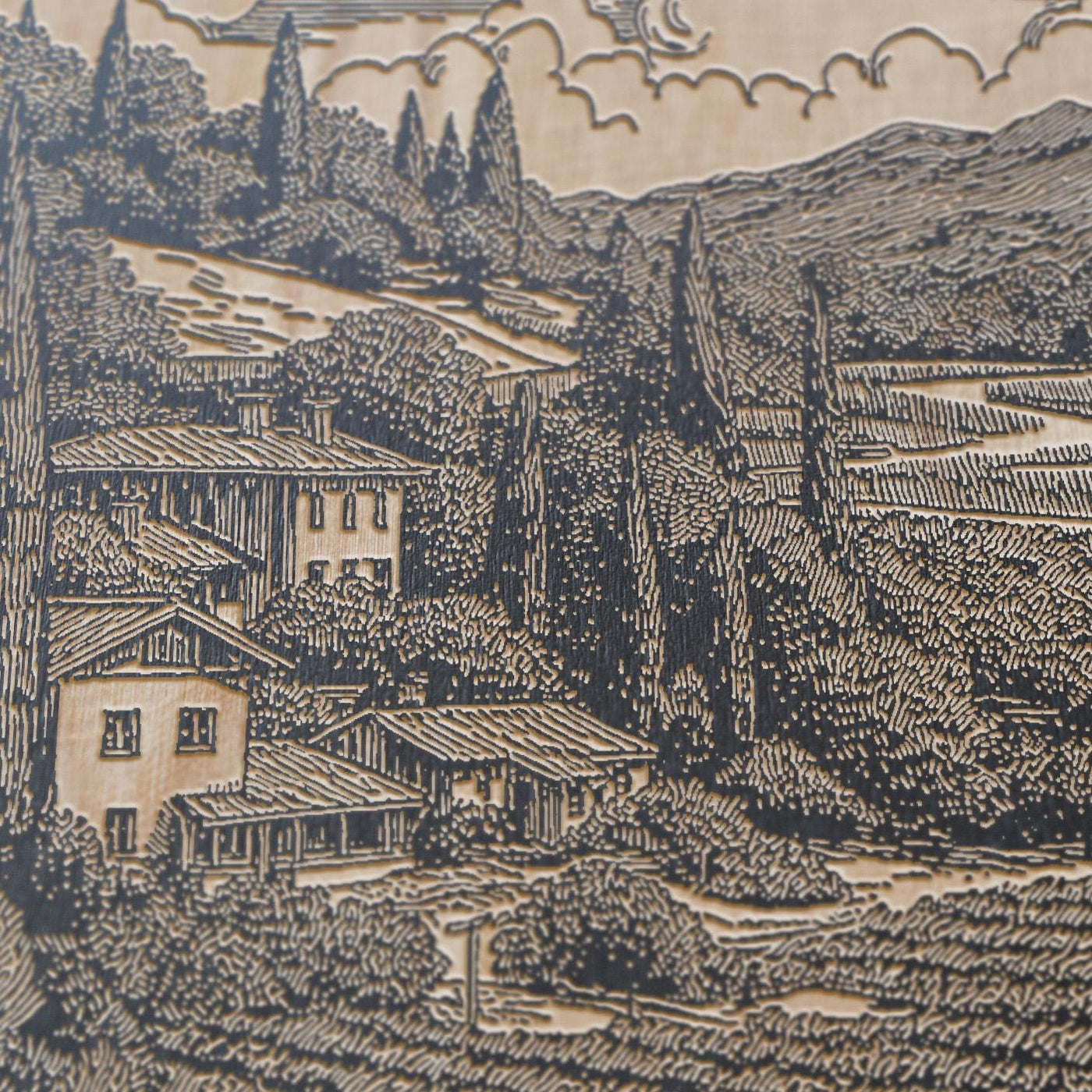 Napa Valley Vineyard Scene Wall Art