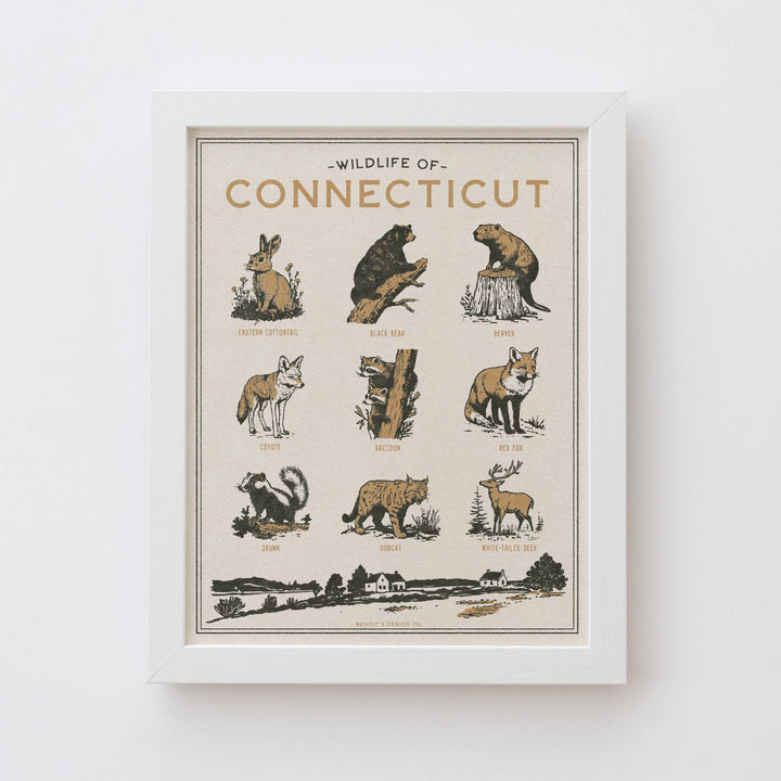 Connecticut Wildlife Print