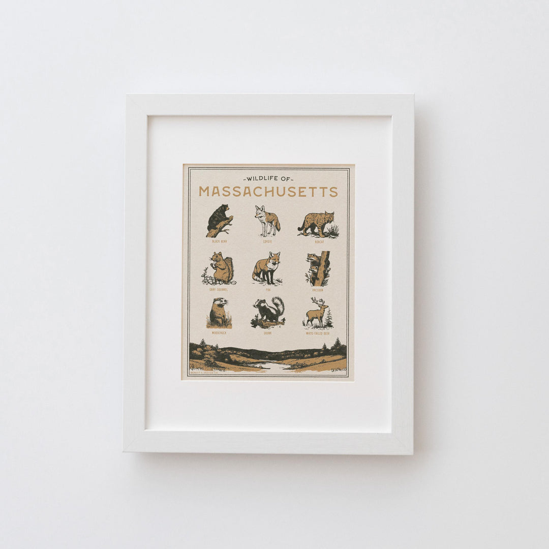 Massachusetts Wildlife Print