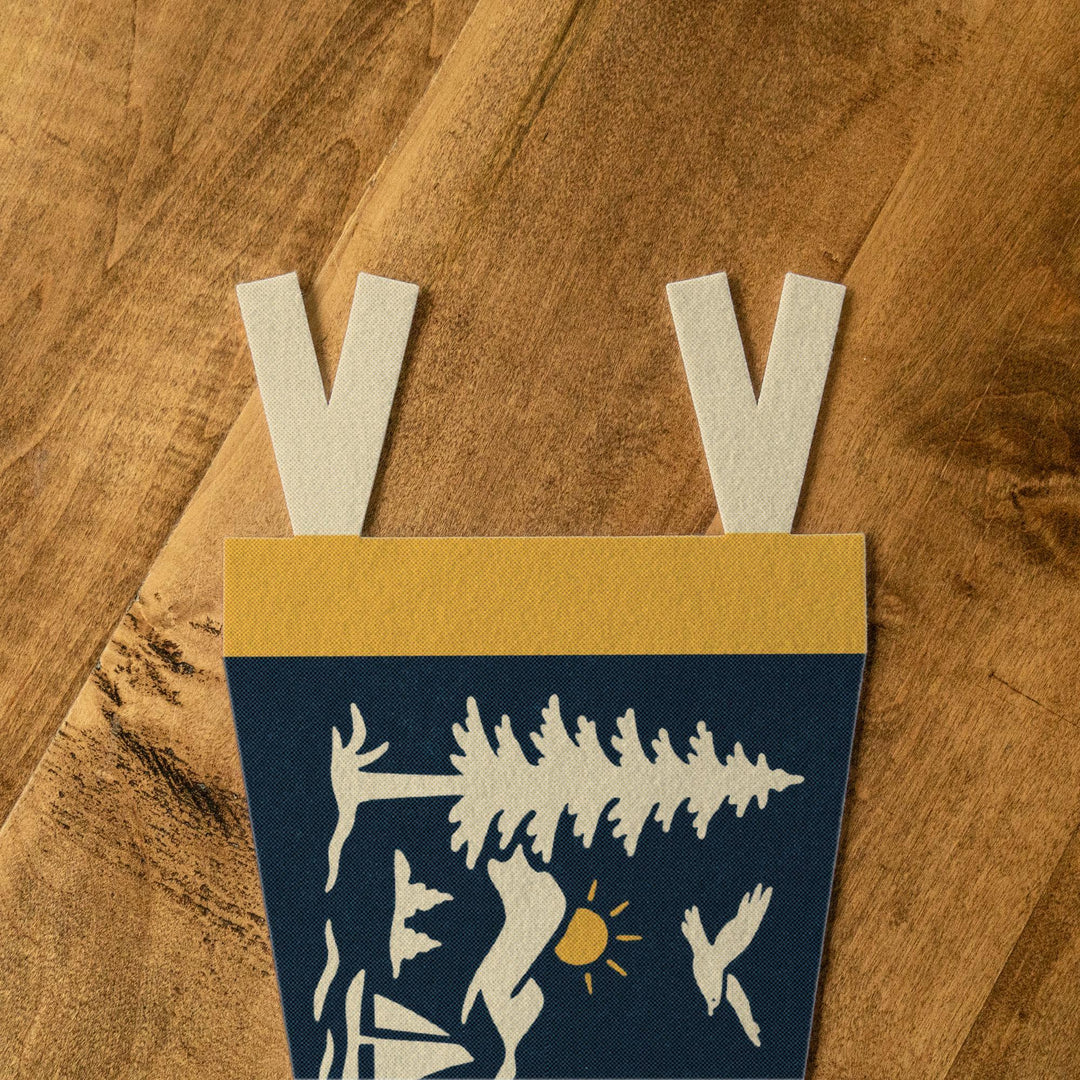 Asheville North Carolina Felt Pennant