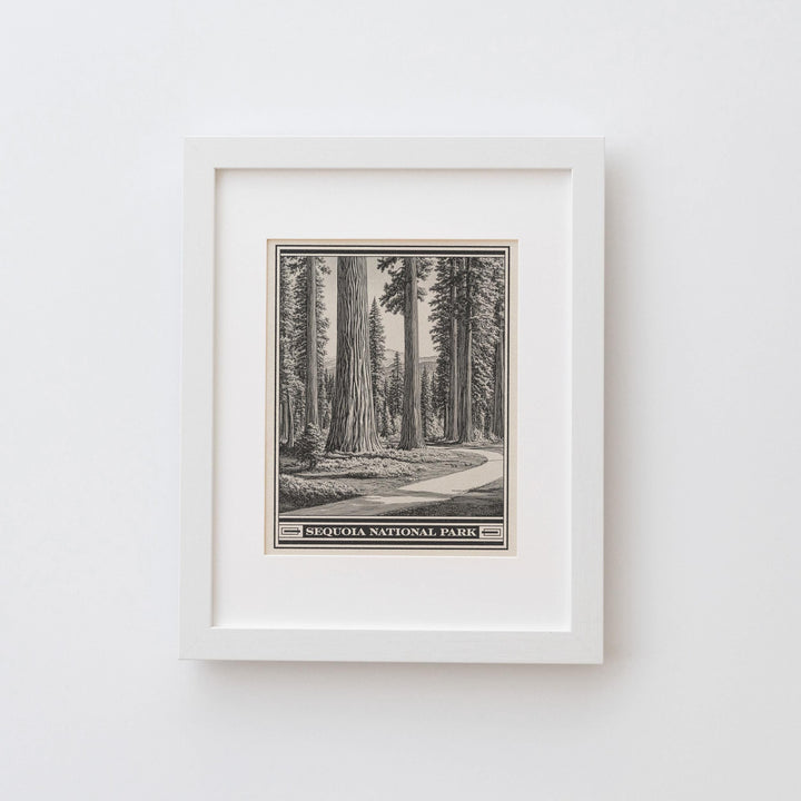 Sequoia National Park Lithograph Style Print - Vintage California archival matte fine art print. Giant Forest Sierra Nevada Mountains Gift.