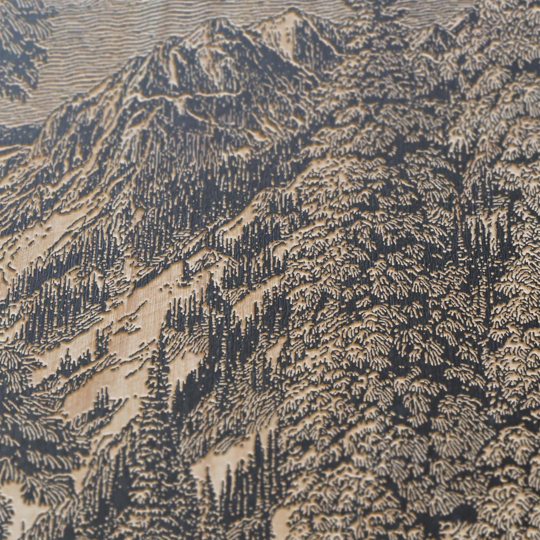 Skiing in the Trees Engraved Illustration