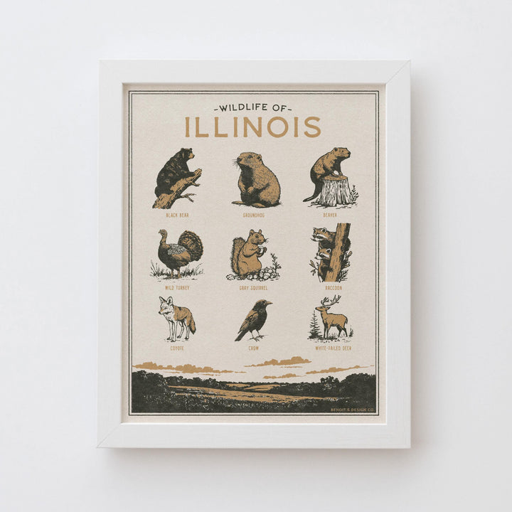 Illinois Wildlife Print
