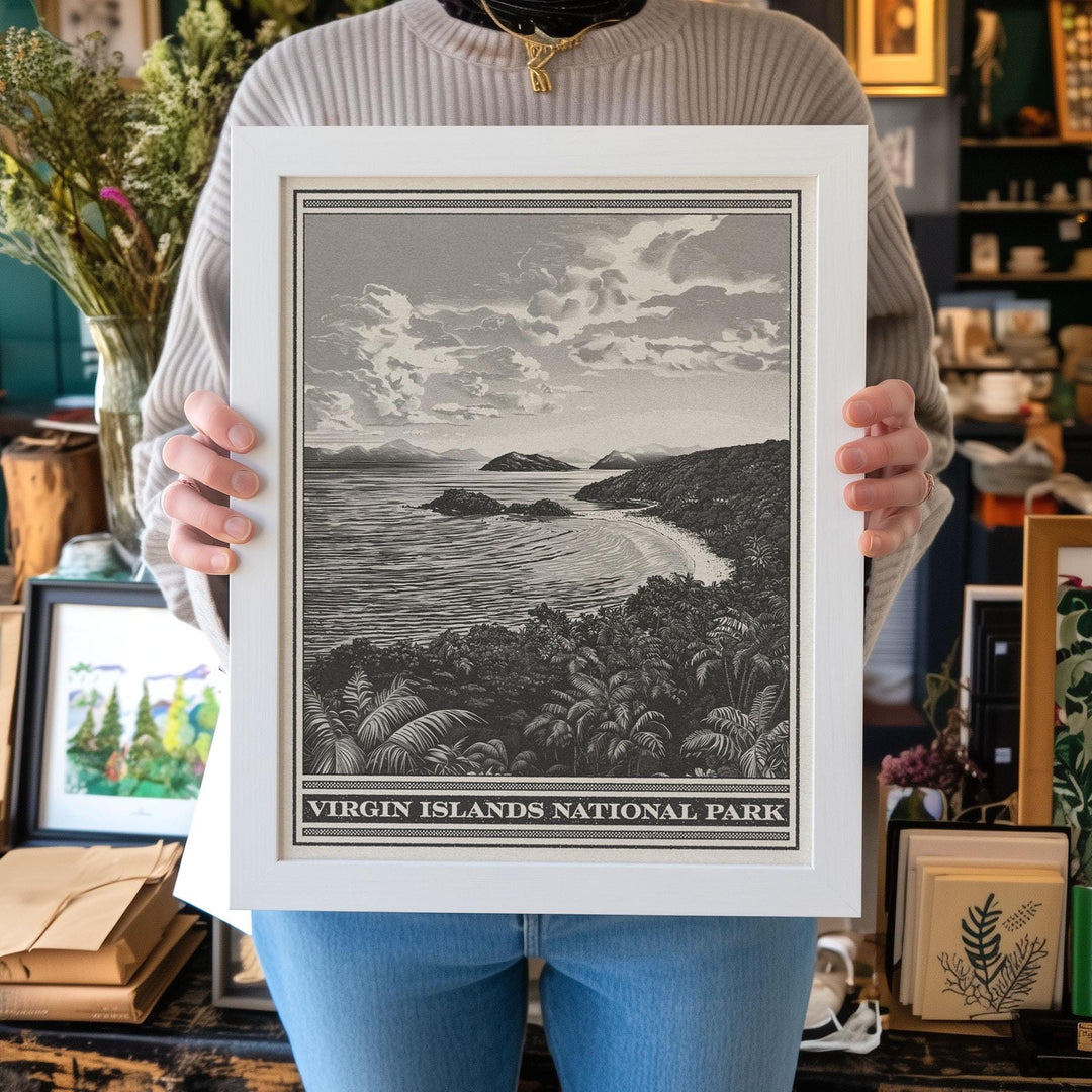 Virgin Islands National Park Lithograph Style Print - Vintage USVI St. John archival matte fine art print. Buck Island Reef Monument gift