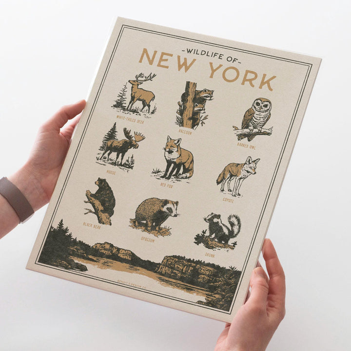 New York Wildlife Print