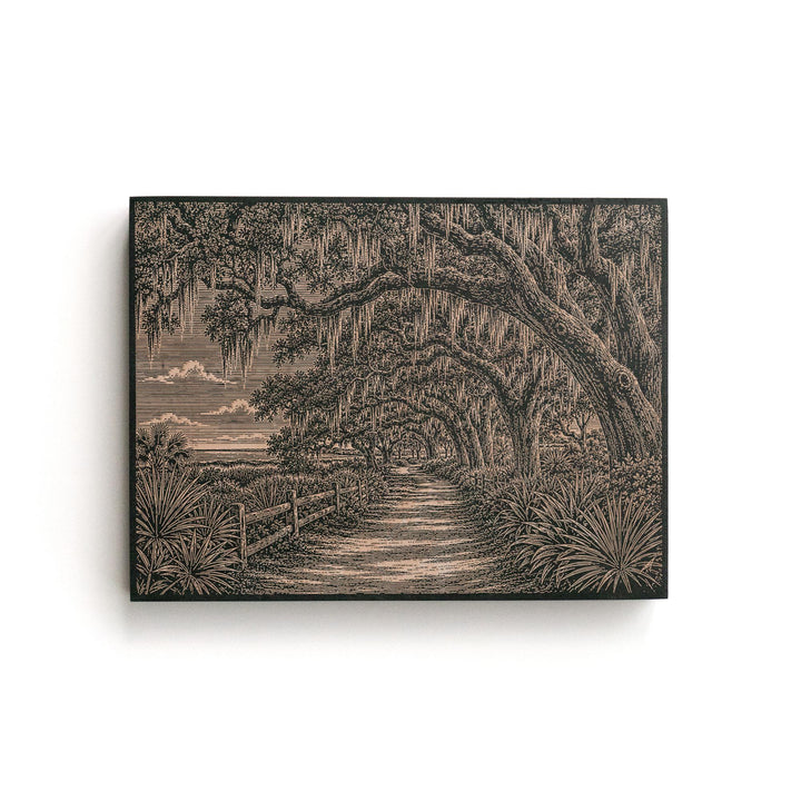 Hilton Head Live Oak Engraved Birch Art Panel