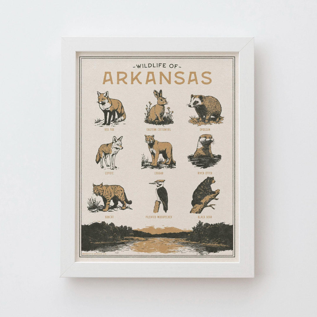 Arkansas Wildlife Print