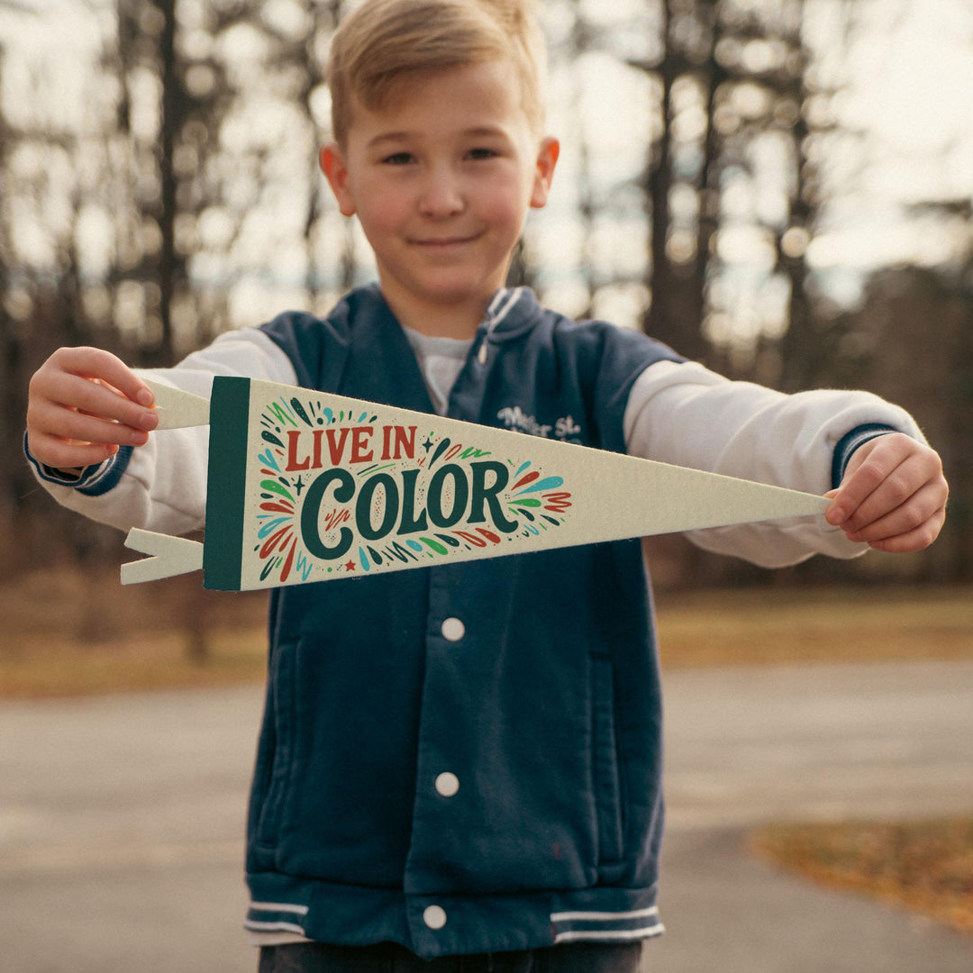 Live In Color Felt Pennant