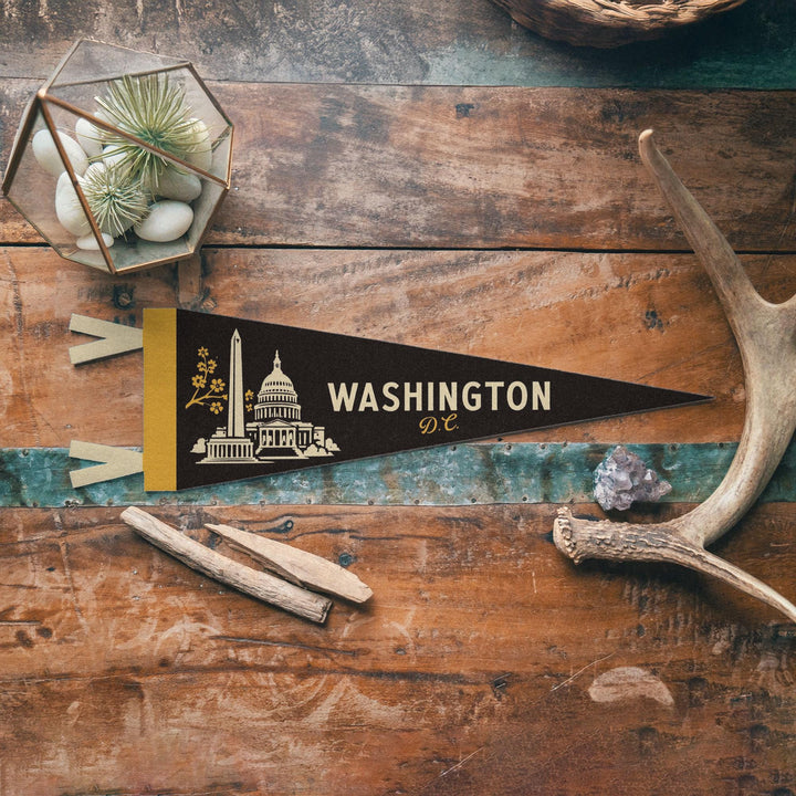 Washington DC Felt Pennant