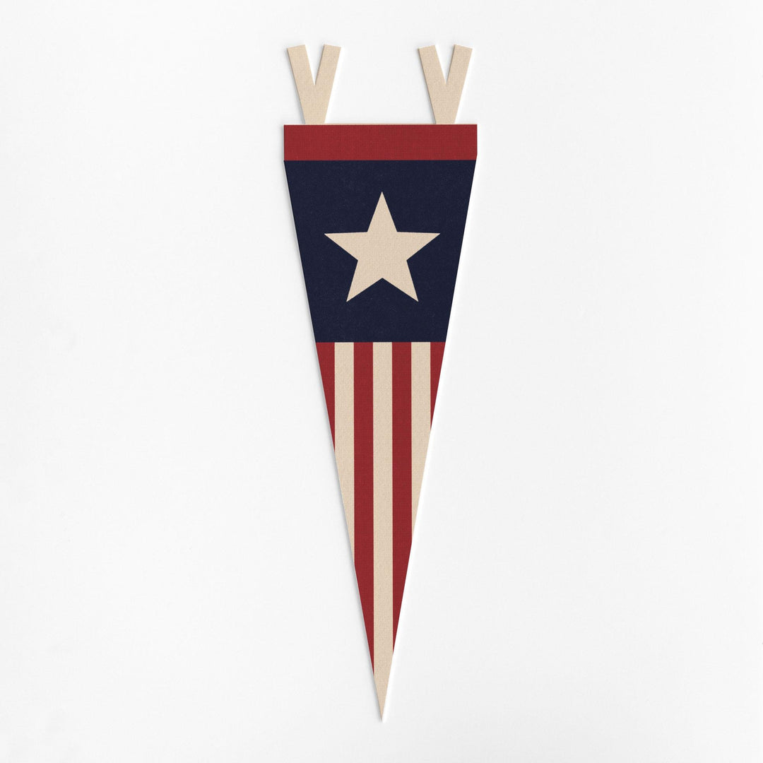 Stars &amp; Stripes Felt Pennant