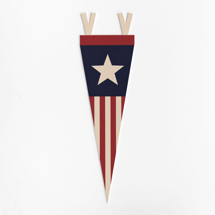 Stars &amp; Stripes Felt Pennant